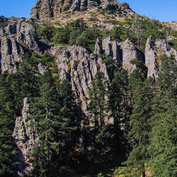 Sorpréndete en El Contadero